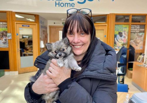 Volunteer Lisa with a puppy called Sundae 