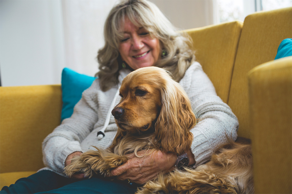 woman with her dog on the sofa, gently checking their paws