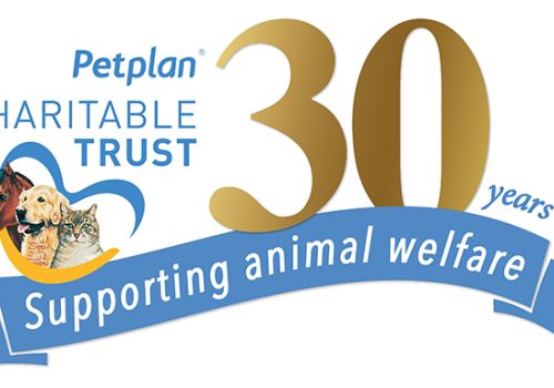 The logo for Petplan Charitable Trust, celebrating their 30 year anniversary.
