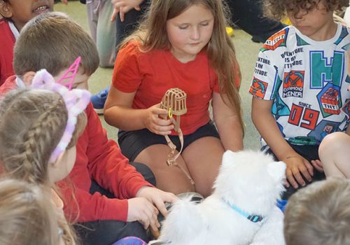 Pupils practice caring for a toy dog