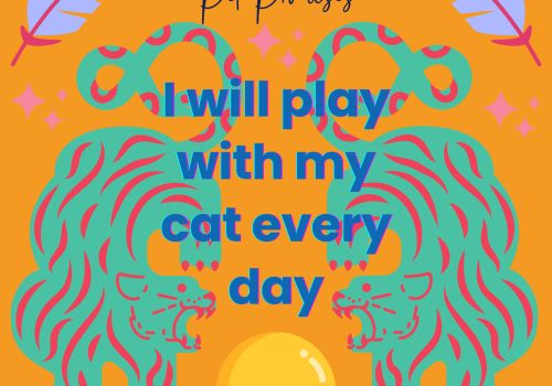 New year promise to play with your cat every day