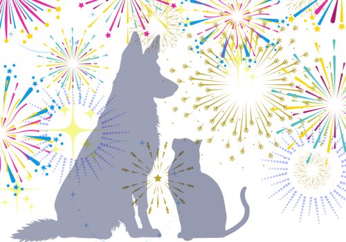 Illustration of pets silhouetted against fireworks 