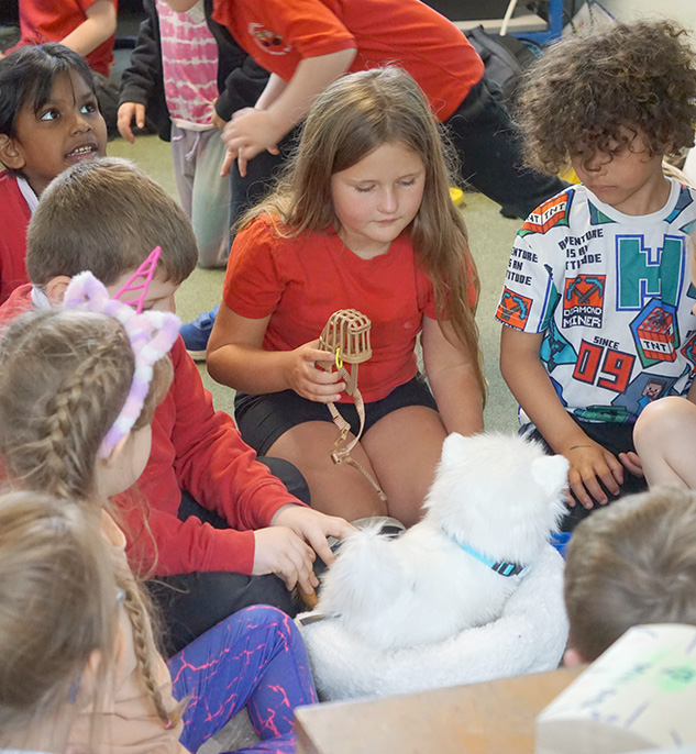 Pupils practice caring for a toy dog 