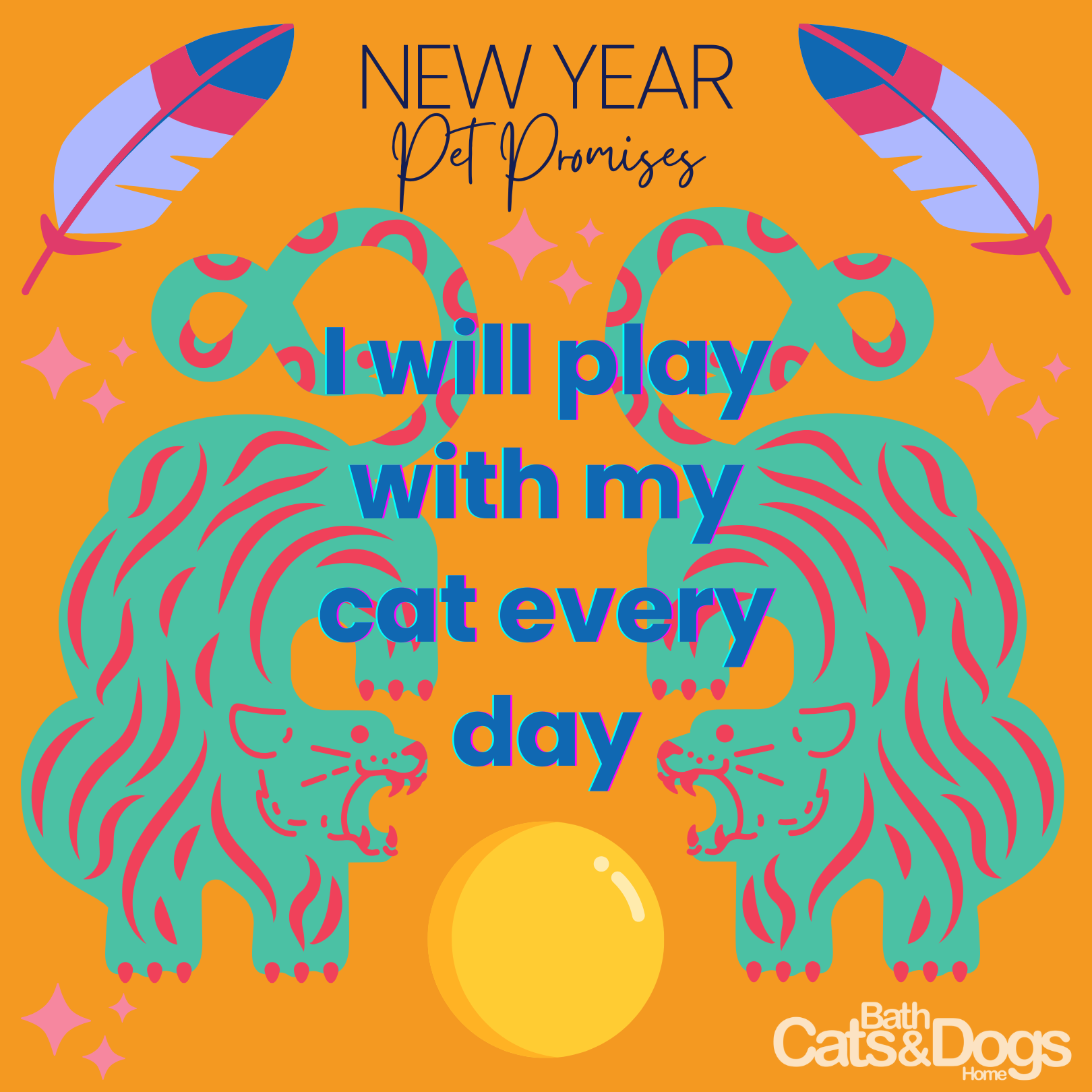 New year promise to play with your cat every day 