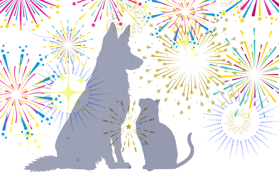 Illustration of pets silhouetted against fireworks  