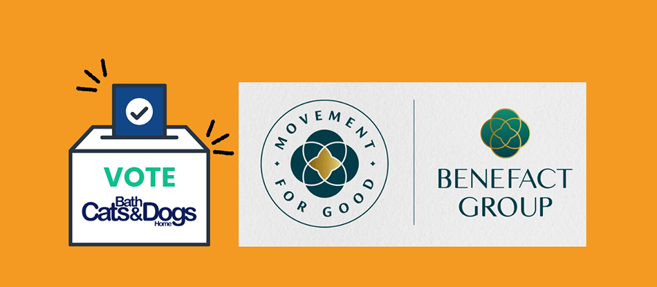 Benefact Movement for Good logos 