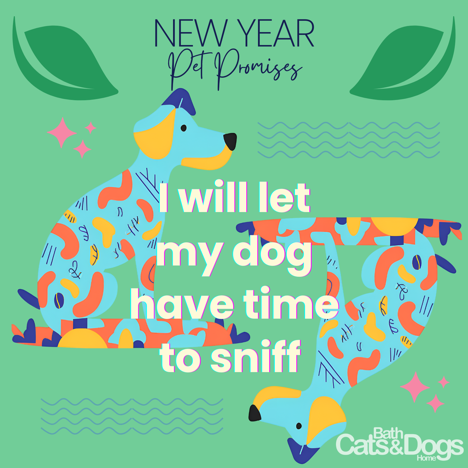 I will let my dog have time to sniff