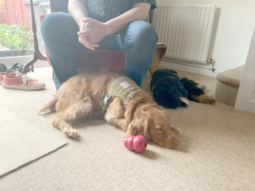 Jack and Megan relaxing in their home