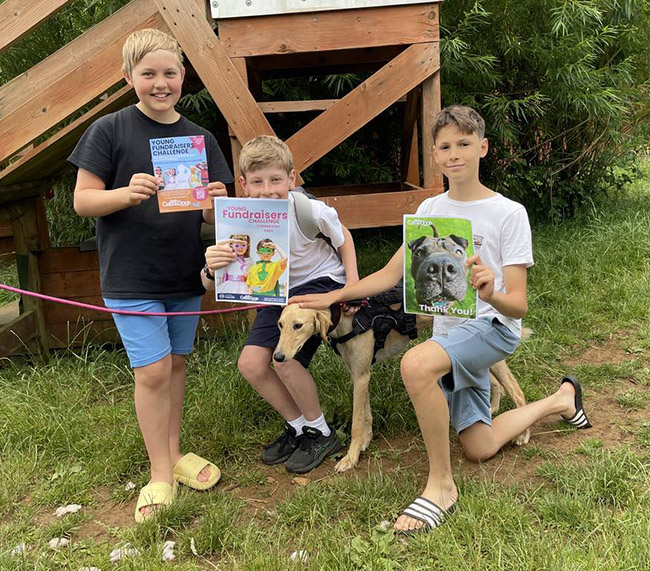 Young fundraisers Alex, Harry and James with rescue dog Horace