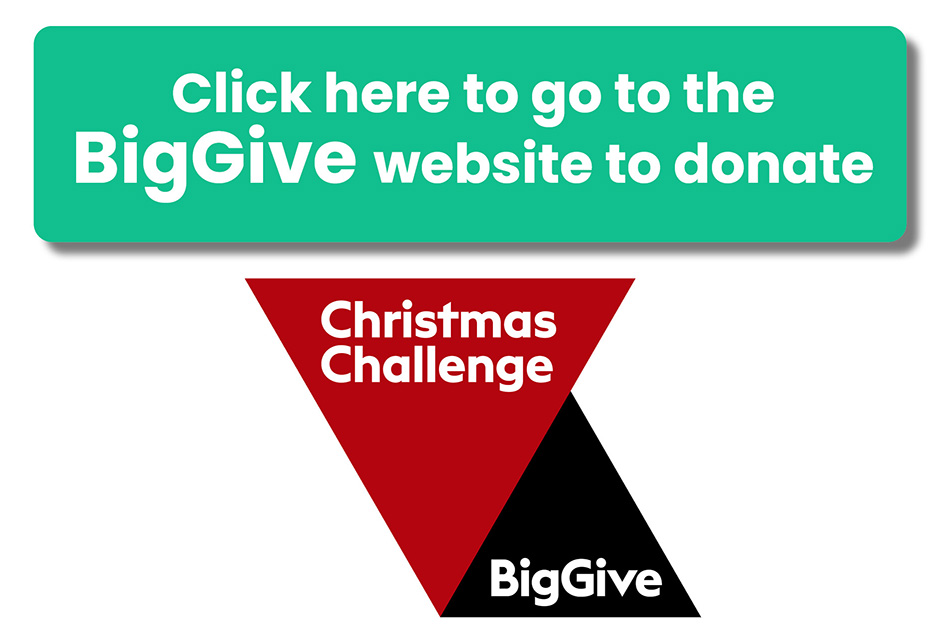 Click here to go to the Big Give website to donate