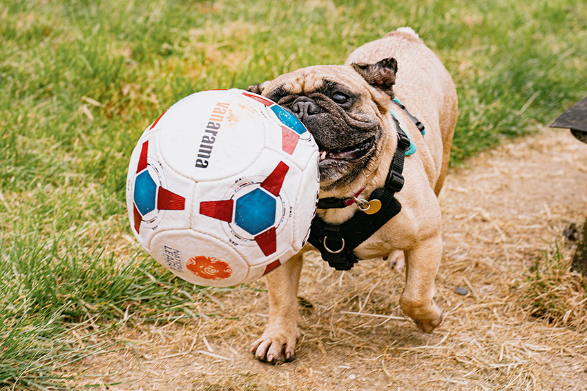 Mildred and a football almost as big as her