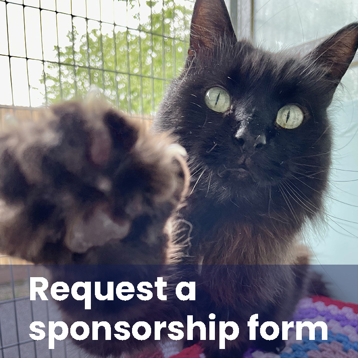 Request a sponsorship form