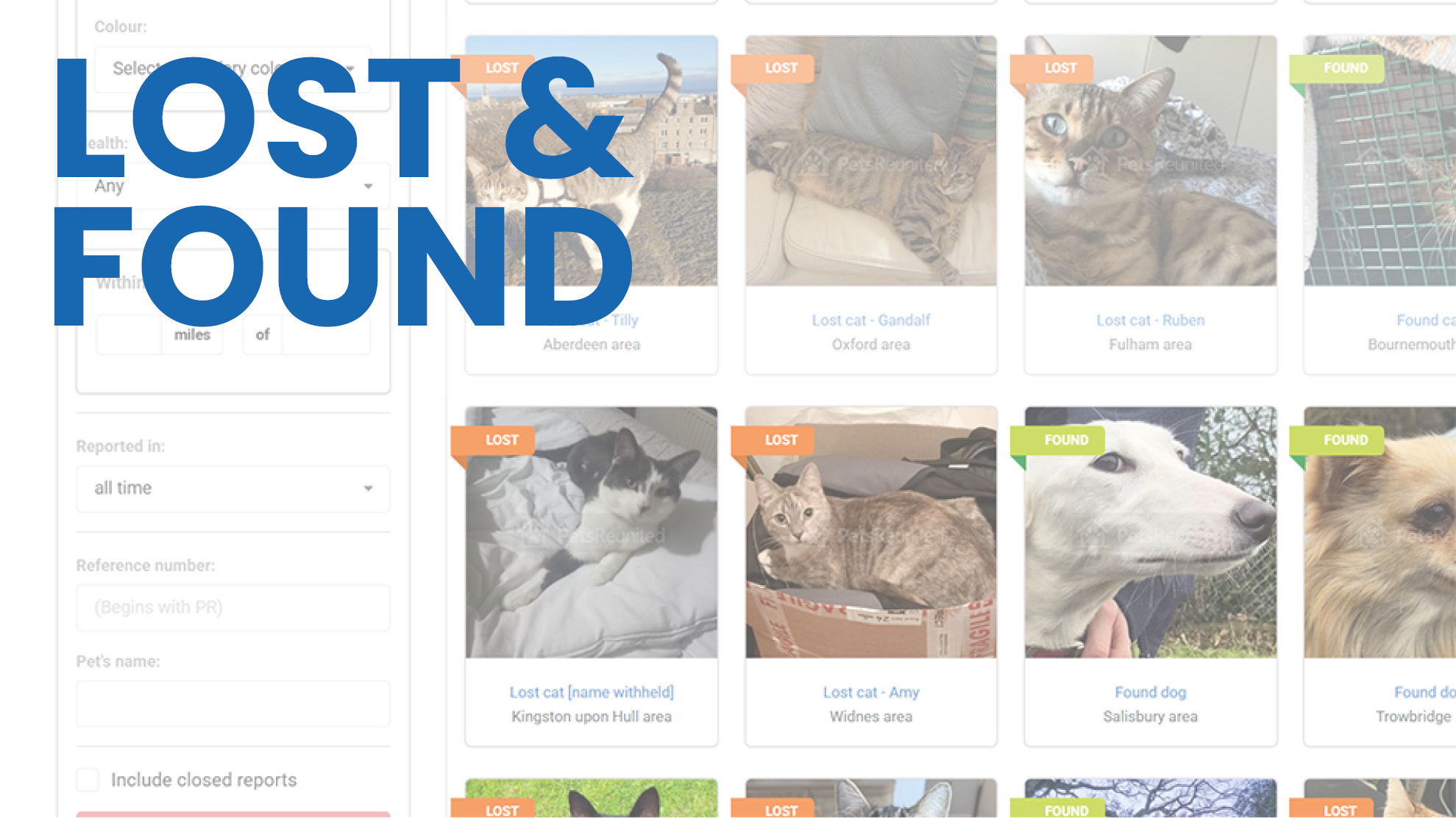 Pet search website background with text LOST AND FOUND