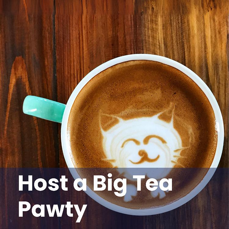 Host a Big Tea Pawty