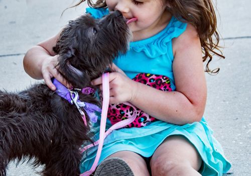 Dog licking a child's face