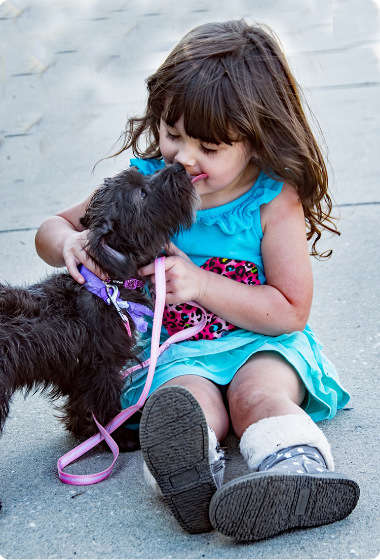 Dog licking a child's face